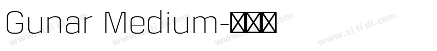 Gunar Medium字体转换